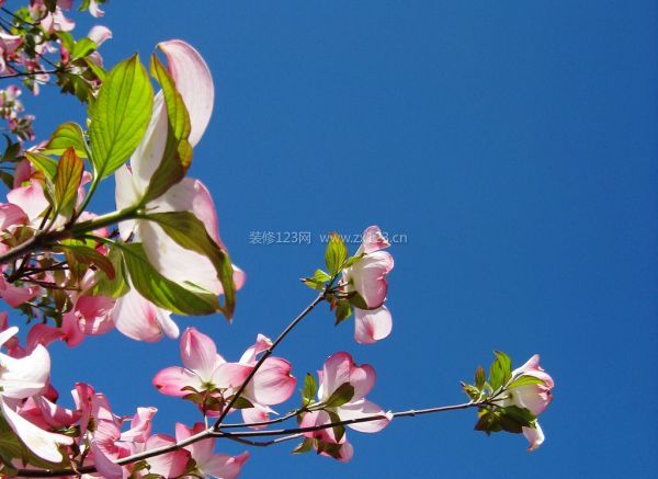 春季裝修注意事項(xiàng) 春季裝修注意事項(xiàng)